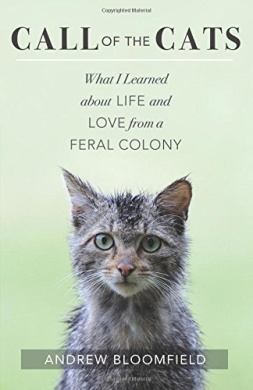 https://scientificbooks.net/sb/3S6H1znE8QCJy4atDX.jpeg