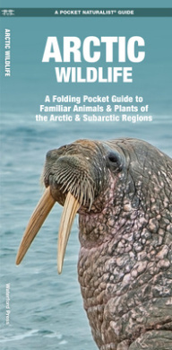 https://scientificbooks.net/sb/3T0S2AvjKT0JER1Jlp.jpeg