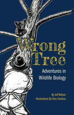 https://scientificbooks.net/sb/3TEWxU3OpNrZT5uyWI.jpeg