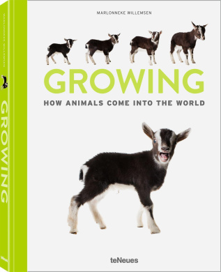https://scientificbooks.net/sb/3TH0dl2drDrstKVbhy.jpeg