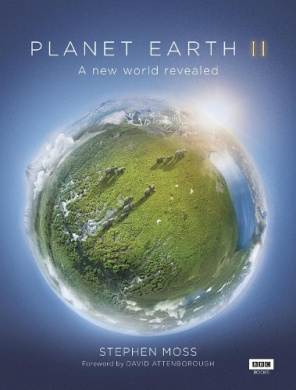 https://scientificbooks.net/sb/3XDS5VHqgjo0JGzjAt.jpeg