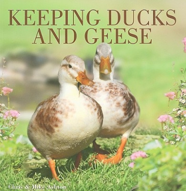 https://scientificbooks.net/sb/3XVhHKBKcxmol6y8Gh.jpeg