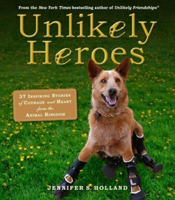 https://scientificbooks.net/sb/3Z742a68l6ZBFJlhp2.jpeg