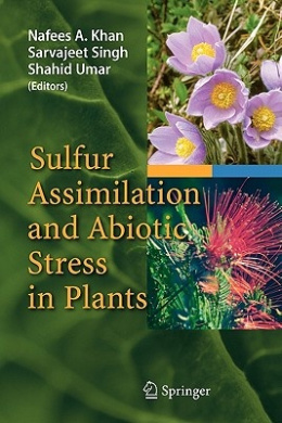 https://scientificbooks.net/sb/3eL7Q0j9wOfC0nmF3P.jpeg