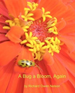 https://scientificbooks.net/sb/3mjRxumOYd7jfbAKw7.jpeg