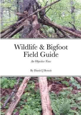 https://scientificbooks.net/sb/3yv0sL11JtegeelM7v.jpeg