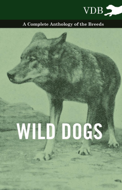 https://scientificbooks.net/sb/4ALBZkdAAG8SfUONR9.jpeg