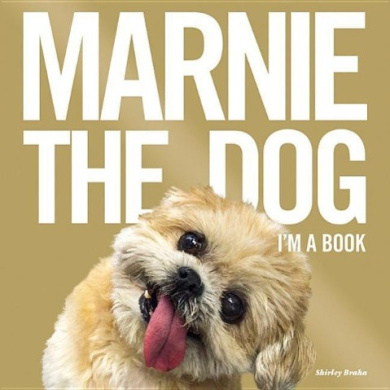https://scientificbooks.net/sb/4c6lSgZgnLgFzzR9kv.jpeg