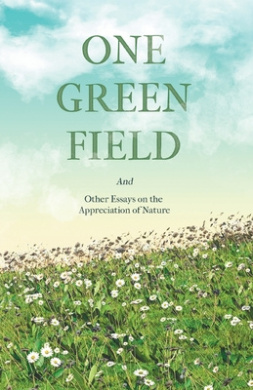 https://scientificbooks.net/sb/4wKsPENO34fqkypXtf.jpeg