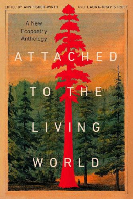 https://scientificbooks.net/sb/500NWLiSwVvvb30pdV.jpeg