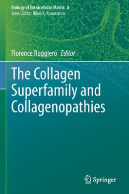 https://scientificbooks.net/sb/5CuVB3vVm91BbncVJQ.jpeg