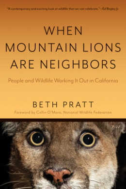 https://scientificbooks.net/sb/5HuVv58sXXhqv9WkcD.jpeg