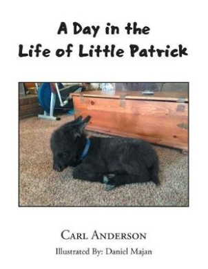 https://scientificbooks.net/sb/5KcJqBgTWSnyhykjrH.jpeg