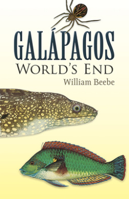 https://scientificbooks.net/sb/5LJbwo2RL0mNmEof3V.jpeg
