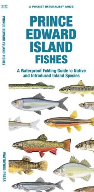 https://scientificbooks.net/sb/5XMI0FYTLsmzjsbtEH.jpeg