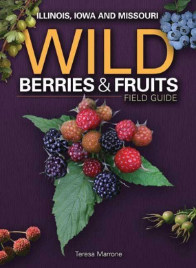 https://scientificbooks.net/sb/5ggd6HBr2Lb4Js4QeJ.jpeg