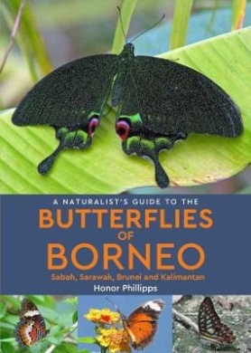 https://scientificbooks.net/sb/5hgjxFRFNMJdvQdmxN.jpeg