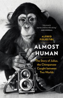 https://scientificbooks.net/sb/5ju4p2PyoWLhDP9Lac.jpeg
