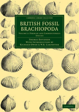 https://scientificbooks.net/sb/5k6ojPAAI0hAEVVXUN.jpeg