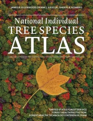 https://scientificbooks.net/sb/5t7Hu4NIcKlwVLNUfS.jpeg