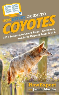 https://scientificbooks.net/sb/5xdr3SwA27qrjCNWxv.jpeg