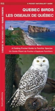 https://scientificbooks.net/sb/60DMxpAnrKBr4SC4TH.jpeg