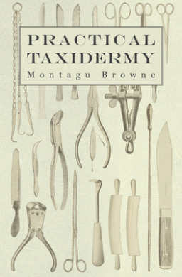 https://scientificbooks.net/sb/65enEdPqbVbCp2NbP7.jpeg
