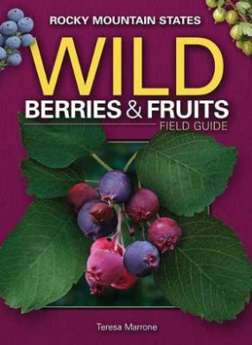 https://scientificbooks.net/sb/66QJLxzdk3zqEBSDAk.jpeg