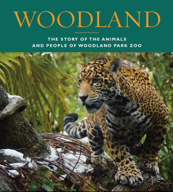 https://scientificbooks.net/sb/68ihCj857bSNMj5LkK.jpeg