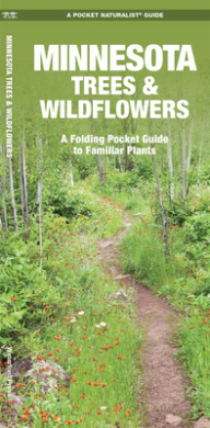 https://scientificbooks.net/sb/6FYsnzYWr7rhIji4Rf.jpeg