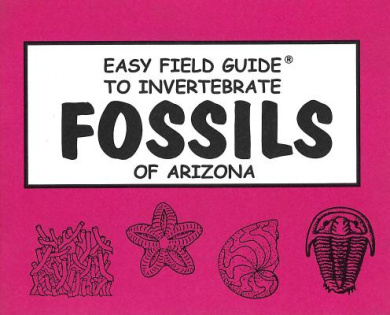 https://scientificbooks.net/sb/6G4oZir42OVNCNxQfC.jpeg