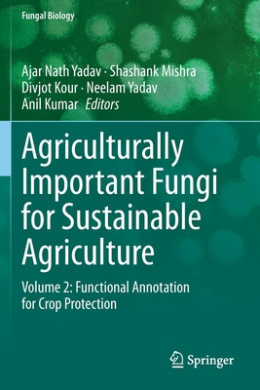 https://scientificbooks.net/sb/6R6Qonv2jzYzakBvJh.jpeg