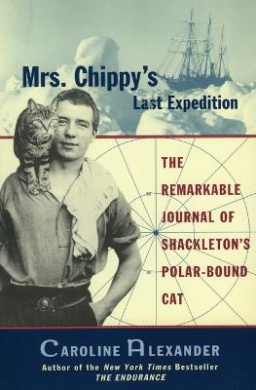 https://scientificbooks.net/sb/6VUfOYdtrmACslwgKo.jpeg