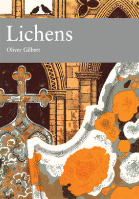 https://scientificbooks.net/sb/6ZJJ2EIFrlMyBBgdO0.jpeg
