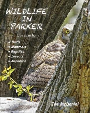 https://scientificbooks.net/sb/6bueFwgpvKOemOwW3t.jpeg