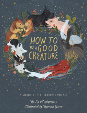 https://scientificbooks.net/sb/6bvyC2EzN7B2g09BYl.jpeg