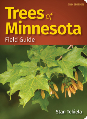 https://scientificbooks.net/sb/6diLmdvrWsP0i3aUfE.jpeg