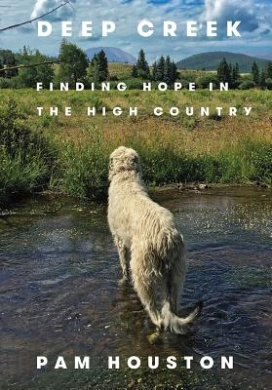 https://scientificbooks.net/sb/79ZikIcybTSSXsq39T.jpeg