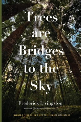 https://scientificbooks.net/sb/7CeNqUhdeB85qeQ5P4.jpeg
