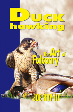 https://scientificbooks.net/sb/7I1bKfcT8sYw09ceTX.jpeg