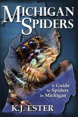 https://scientificbooks.net/sb/7IybD3oI9Mvkj9Qyeq.jpeg