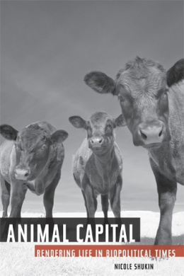 https://scientificbooks.net/sb/7KimEvjUFiNKOcSIMy.jpeg