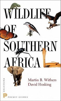 https://scientificbooks.net/sb/7jaLfS9n2OePI9bTlz.jpeg