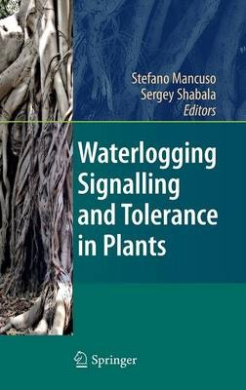 https://scientificbooks.net/sb/7kCNuJUDKJ19bdeh6X.jpeg