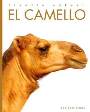 https://scientificbooks.net/sb/7lYb9b1vdQxhjeuHHg.jpeg