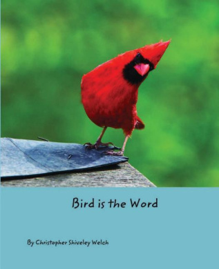 https://scientificbooks.net/sb/7tehplRqXgqE4kHqsh.jpeg