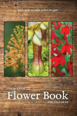 https://scientificbooks.net/sb/7wKREwtVAWolbczzDn.jpeg