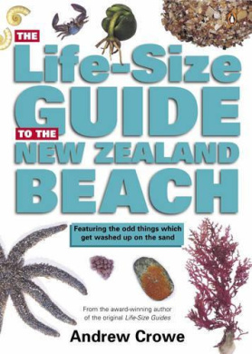 https://scientificbooks.net/sb/7zphzPny7Z9KpgFlY4.jpeg