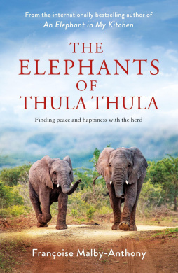 https://scientificbooks.net/sb/8DBApmjbx4HtL0YrKR.jpeg