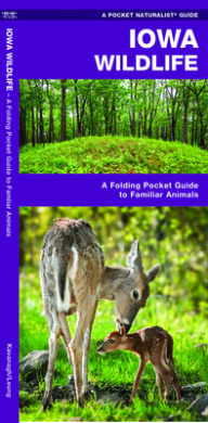 https://scientificbooks.net/sb/8E5mPmJFD762dhOgc6.jpeg